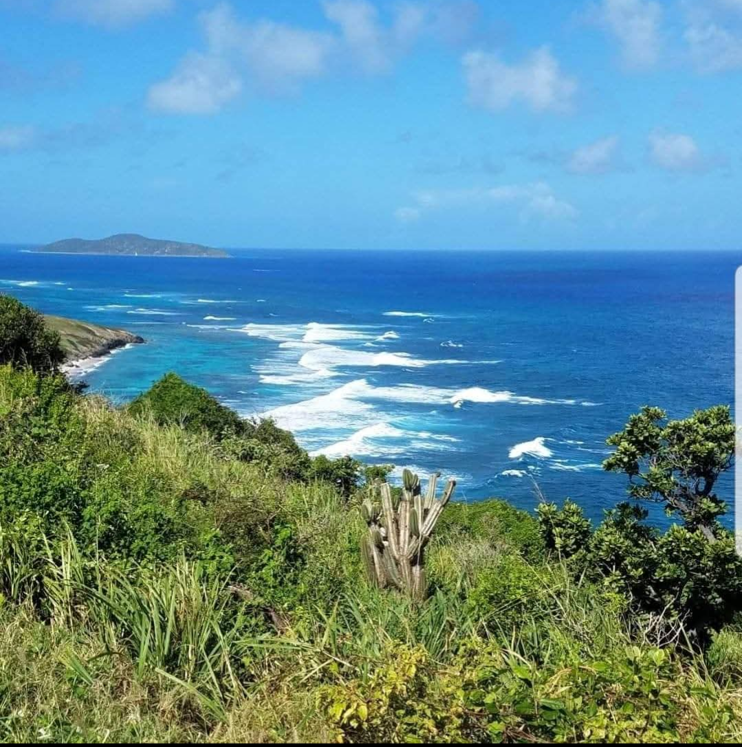 BUCK ISLAND, ST. CROIX photographed by our video production company
